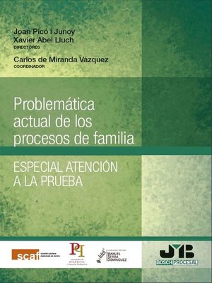 cover image of Problemática actual de los procesos de familia